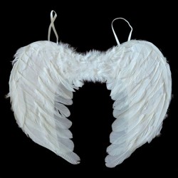Крылья 30х45см 26-77