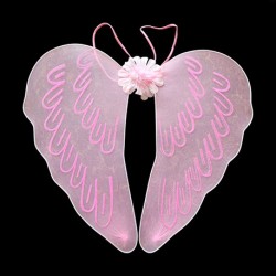 Крылья 45х45см 26-72.3